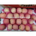 Super quality Stripe Fuji Apple